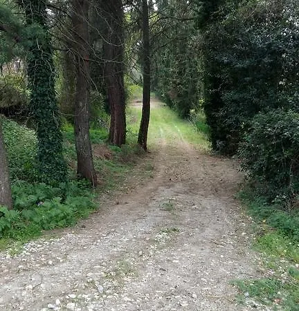 Casale Umbro Alojamento de Acomodação e Pequeno-almoço Civitella D'Arna